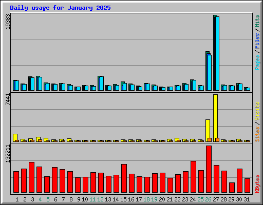 Daily usage for January 2025