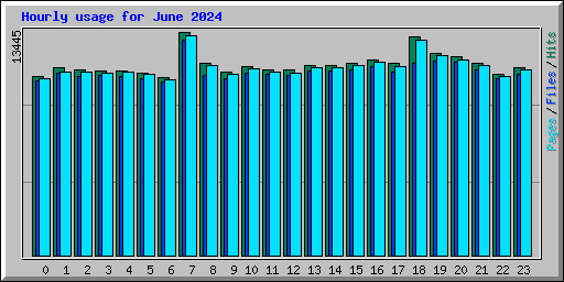 Hourly usage for June 2024