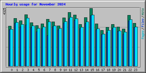 Hourly usage for November 2024