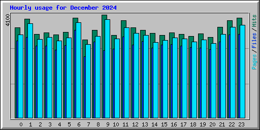 Hourly usage for December 2024