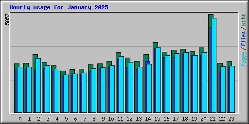 Hourly usage for January 2025