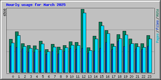 Hourly usage for March 2025