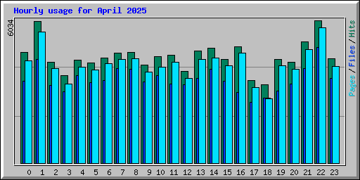 Hourly usage for April 2025