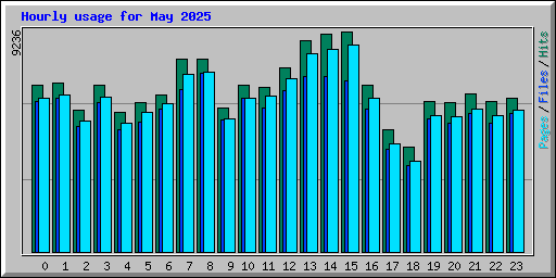 Hourly usage for May 2025