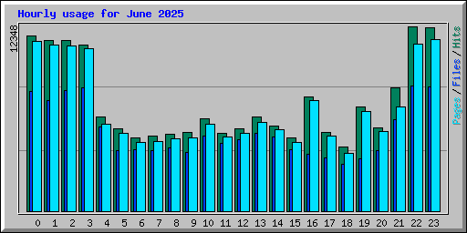 Hourly usage for June 2025