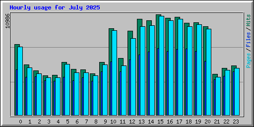 Hourly usage for July 2025