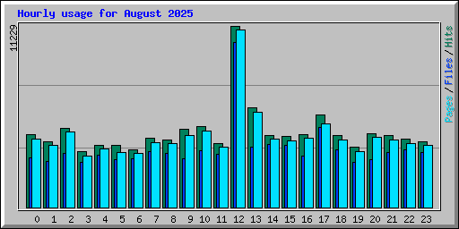 Hourly usage for August 2025